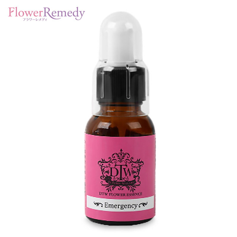 楽天市場】【ブラックフライデー！最大2222円割引クーポン配布中