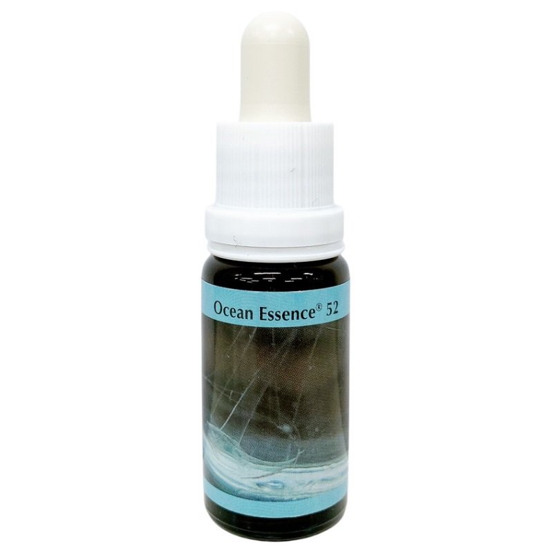 楽天市場】ダンシング イン ザ ニューワールド《インディゴエッセンス