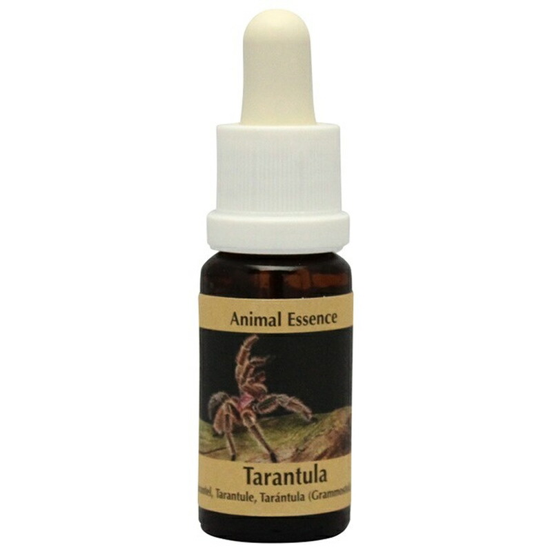 【予約】サンドダラー (7.5ml)　パシフィックエッセンス　フラワーエッセンス 楽天市場】サンドダラー 《パシフィックエッセンス》7.5ml[シー