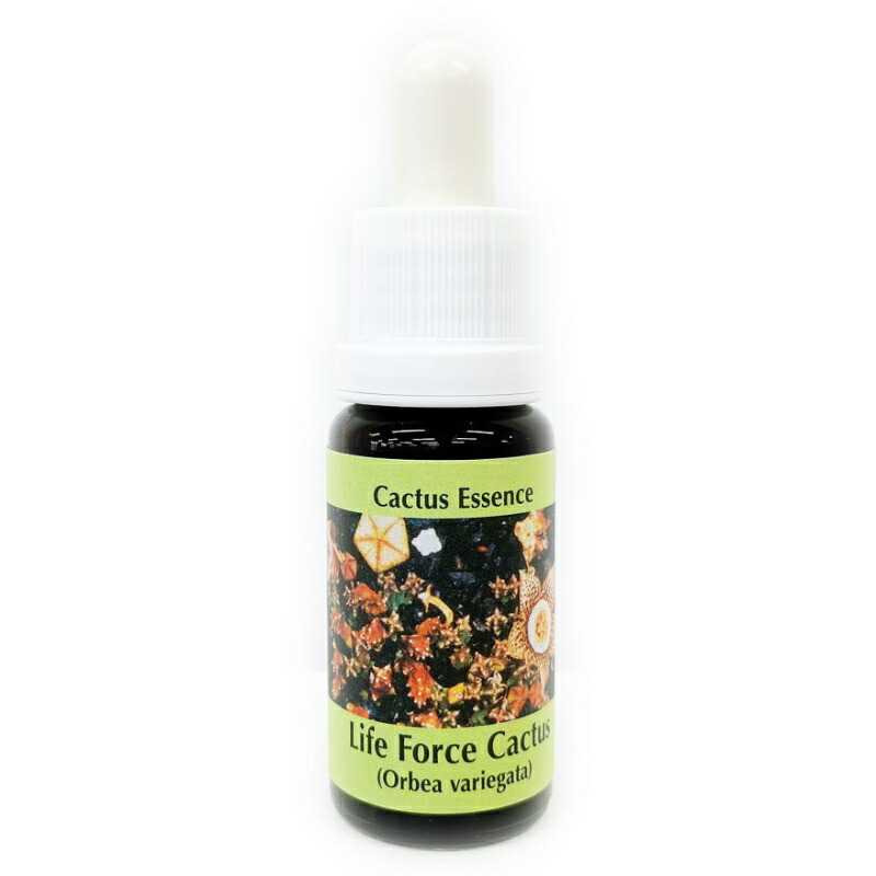 楽天市場】ビヨンドワーズ《アラスカンエッセンス》30ml