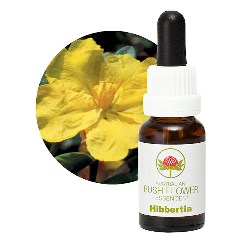 楽天市場】マウンテンデビル《オーストラリアンブッシュ