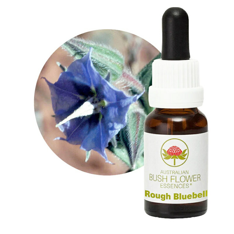 【楽天市場】ラフブルーベル《オーストラリアンブッシュ フラワーエッセンス》15ml【メール便対象】[シングルエッセンス/フラワーエッセンス