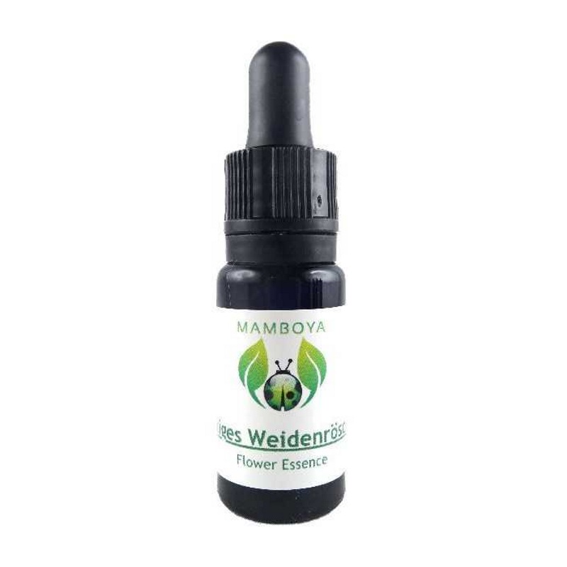 予約品】アメジスト ケイブ セイクレッドエイトエッセンス