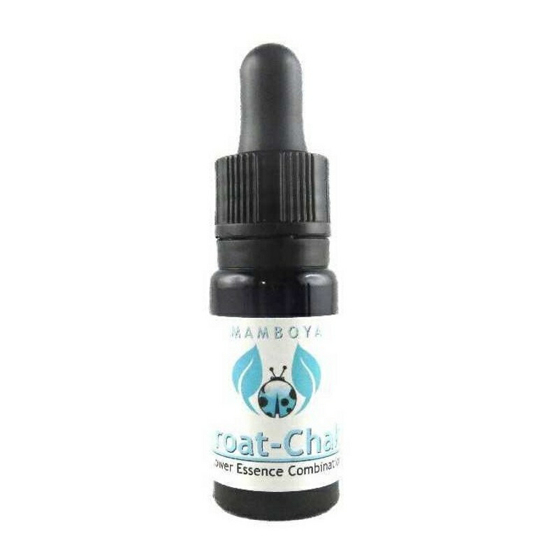 予約品】アジュナ第3の目『私は見る』チャクラエッセンス