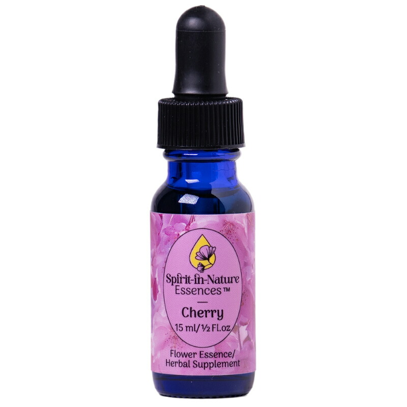 専用】ピュリフィケーション(30ml)　アラスカンエッセンス　フラワーエッセンス ツインフラワー《アラスカンエッセンス》7.5ml｜フラワー