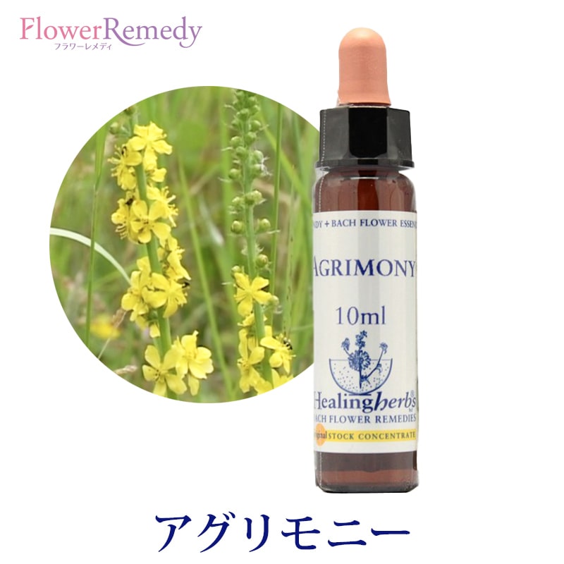 楽天市場】【楽天スーパーSALEポイント5倍＆最大2222円割引クーポン