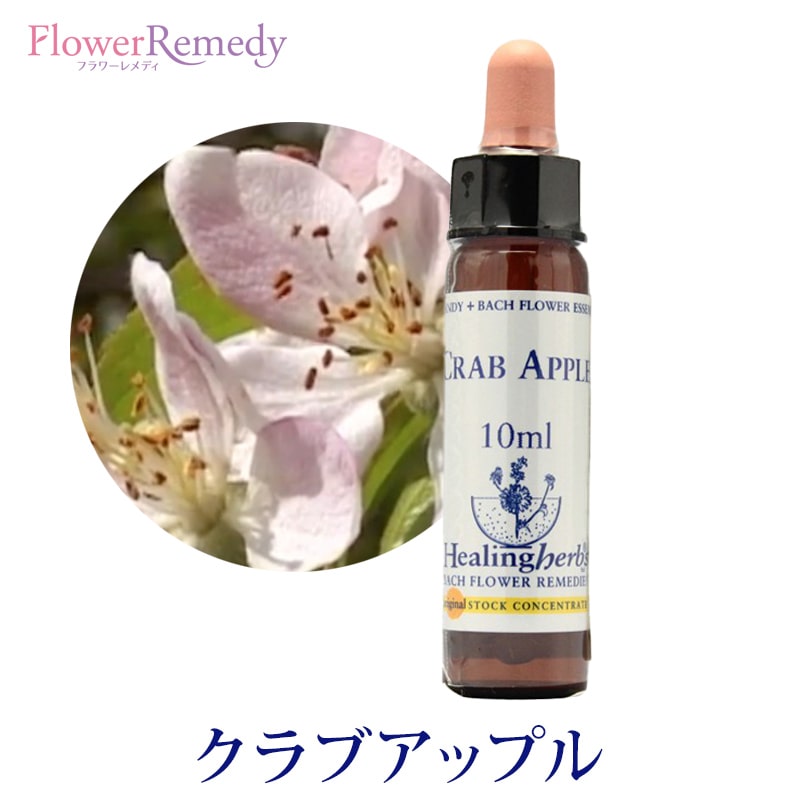 楽天市場】【お買い物マラソン最大2222円割引クーポン配布中】【取寄せ