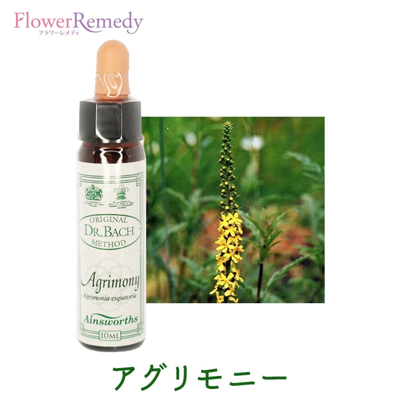【即購入歓迎】エインズワース社　バッチフラワー　10ml 楽天市場】エインズワース バッチフラワーエッセンス 40本キット