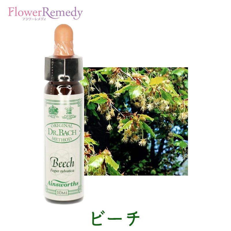 楽天市場】エマージェンシークリーム《エインズワース》50ml [バッチ