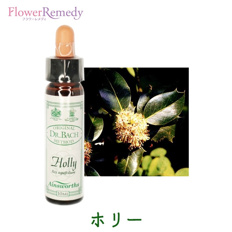 【即購入歓迎】エインズワース社　バッチフラワー　10ml 楽天市場】エインズワース バッチフラワーエッセンス 40本キット