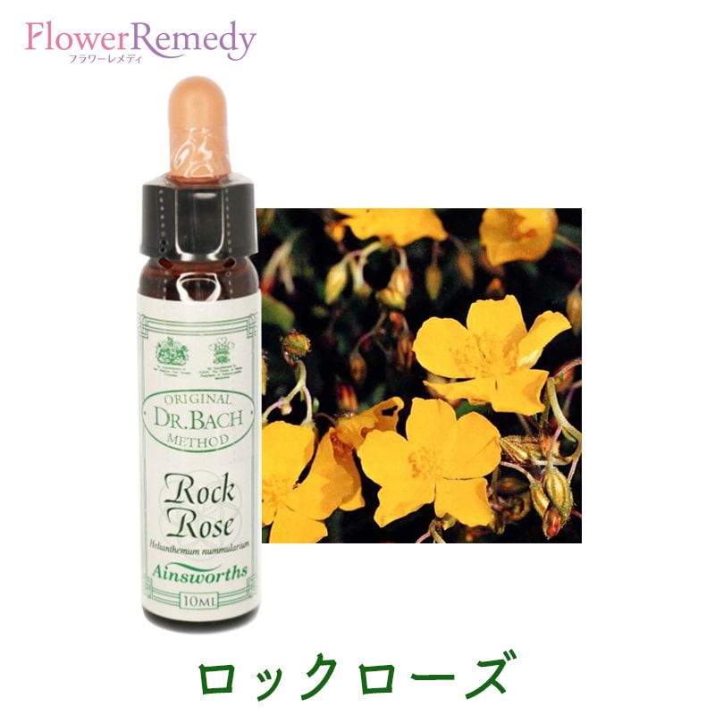 エインズワース　フラワーエッセンス　バッチフラワー　セット ヘザー10ml[Heather] | ブランド一覧,エインズワースバッチ