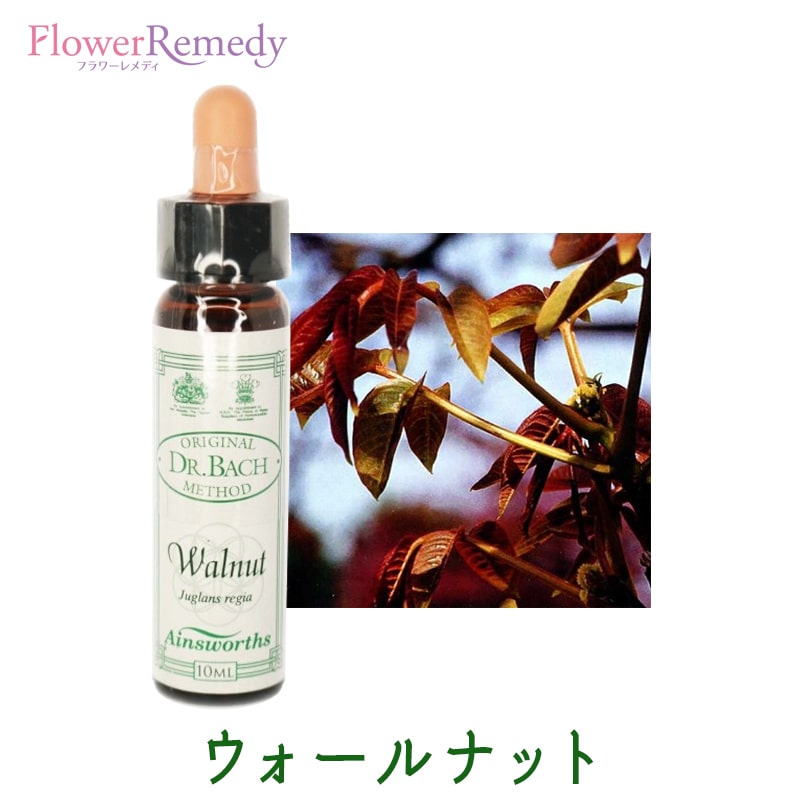 【即購入歓迎】エインズワース社　バッチフラワー　10ml 楽天市場】エインズワース バッチフラワーエッセンス 40本キット