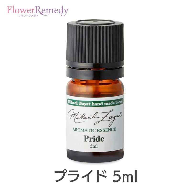 楽天市場】スペルスアウト（ミカエルハンドメイド）《ミカエル