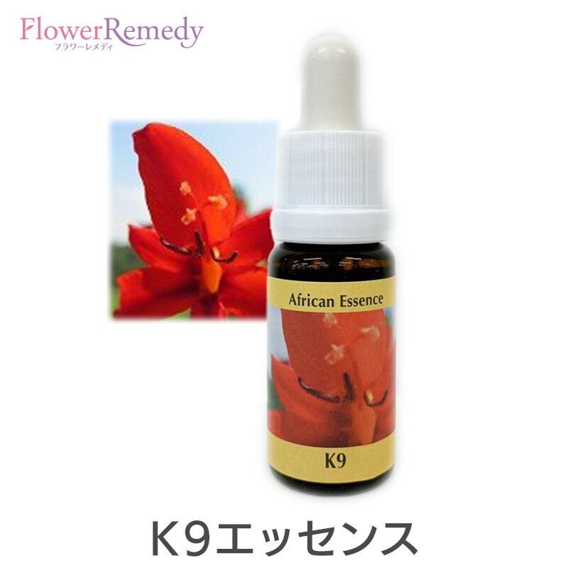 専用】ヤローエンバイロメンタルソリューションエッセンス　FESフラワーエッセンス ヤローエンバイロメンタルソリューションエッセンス《FES