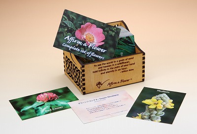 木箱入りバッチフラワーエッセンス&ポストカード 楽天市場】【楽天イーグルス感謝祭！最大 2222 円クーポン配布中