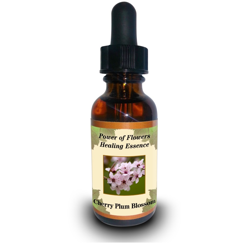 楽天市場】シトリン《セイクレッドエイトエッセンス》15ml