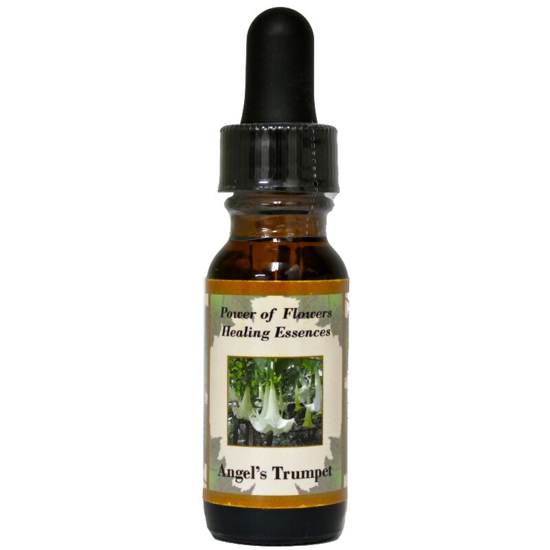 楽天市場】ダグラスファー《パワーオブフラワーヒーリング