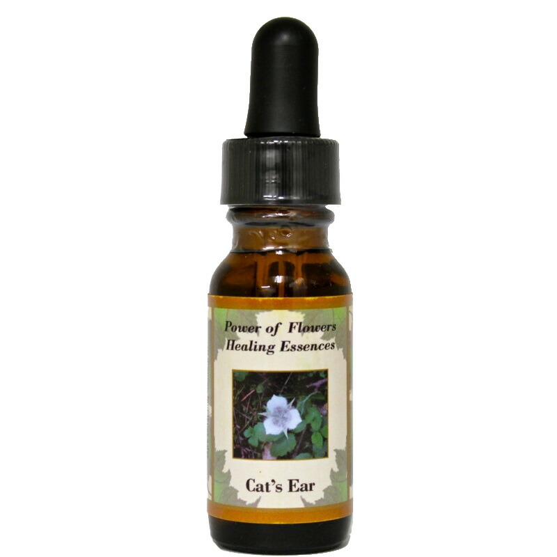 楽天市場】【楽天イーグルス感謝祭！最大 2222 円クーポン配布中