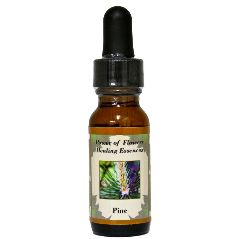 楽天市場】ビーイングトゥルーワース（本当の自分を生きる