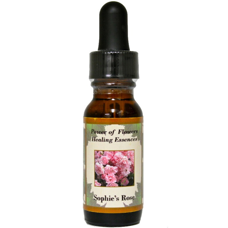 ※専用【在庫セール】ビューティー＆ビースト パワーオブフラワーエッセンス 楽天市場】ビューティー＆ビースト Beauty and the Beast パワー