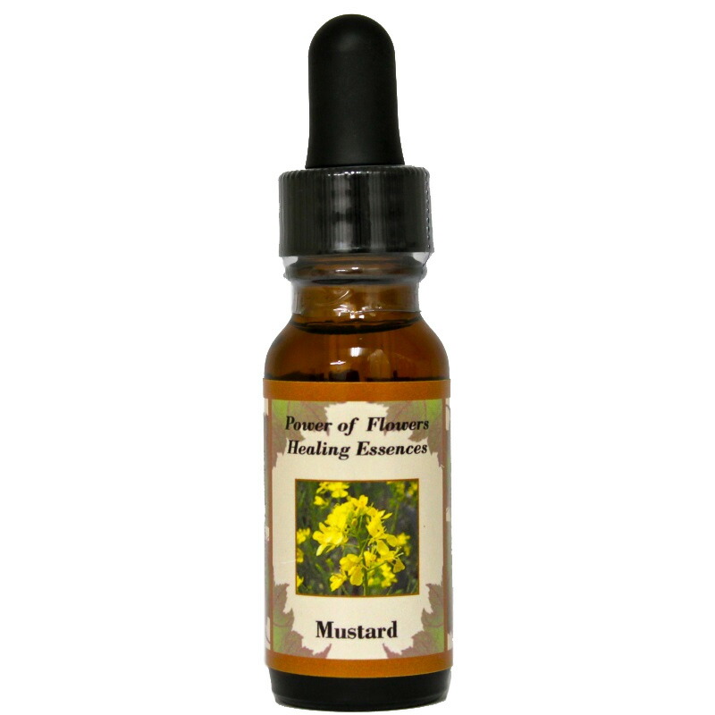 ※専用【在庫セール】ビューティー＆ビースト パワーオブフラワーエッセンス 専用【在庫セール】ビューティー＆ビースト パワーオブ