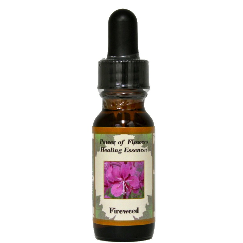 【専用】#9 アンジェリックエマージェンシー フォーミュラ フラワーエッセンス他 スパーク 1/43 ポルシェ 99X エレクトリック No.94 2024