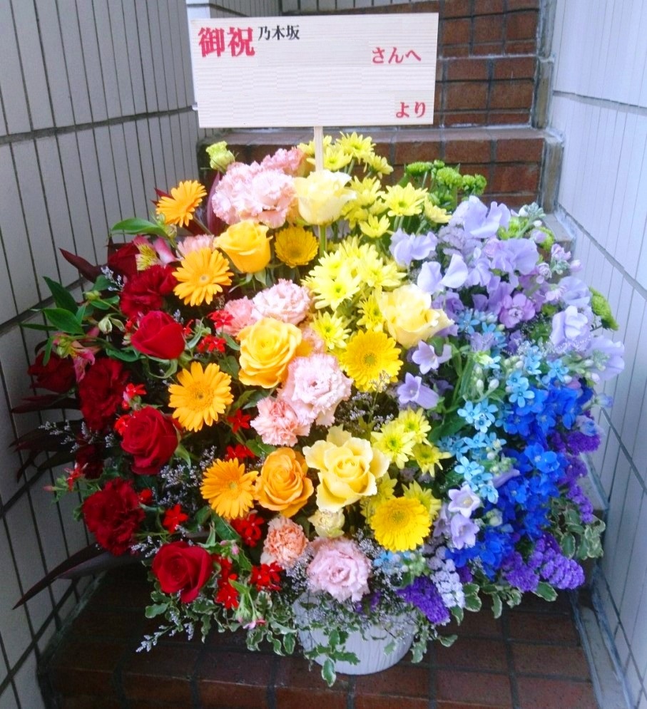 並べ方 虹霓彩り花アレンジメント21 000丸 生開花期 虹色 虹霓 レインボー色艶 七つ色 7色 000円 出生平均太陽日集まり 祝事 賜り物 おくり物 カット 脱衣所花 ライブ 音楽会 議する典礼 開店 典 Rainbow 目立つ 新宿 四谷 花屋 楽観主義マート Marchesoni Com Br