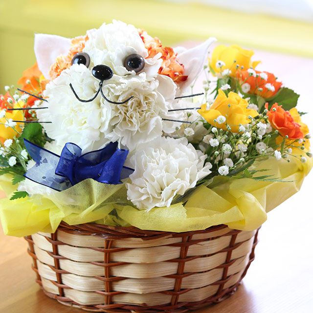楽天市場】ネコちゃんのアニマルフラワー アレンジメント母の日 ペット