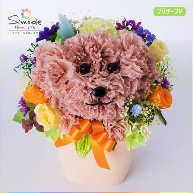 トイプードル 大 のプリザーブドフラワーアレンジメントギフト 送料無料 癒し 犬 いぬ イヌ プリザーブドフラワー 花 大人気 フラワー ギフト 喜ばれる 贈り物 プレゼント かわいい アニマル Mother Flower Hana 正規品新品未使用品