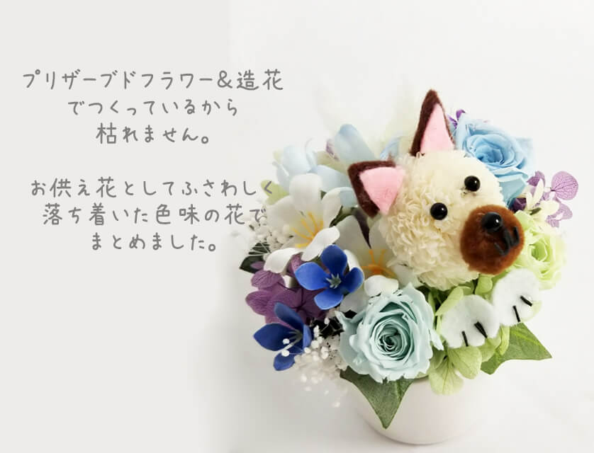 ペット お供え花 お悔やみ花柴犬 しばいぬ のプリザーブドフラワーアレンジメント 癒し ギフト カーネーション お盆 仏花 供花 命日 枯れない仏花 犬 シバイヌ しばけん シバケン Giosenglish Com