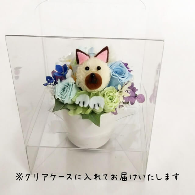 ホルン お供え開花期 お悔やみ花柴洋犬 しば廻者 のプリザーブドフラワーアレンジメント 癒し 贈呈品 カーネーション トレイ 仏花 供花 命日 枯れない仏花 犬 シバ神イヌ しばけん シバケン Hotjobsafrica Org