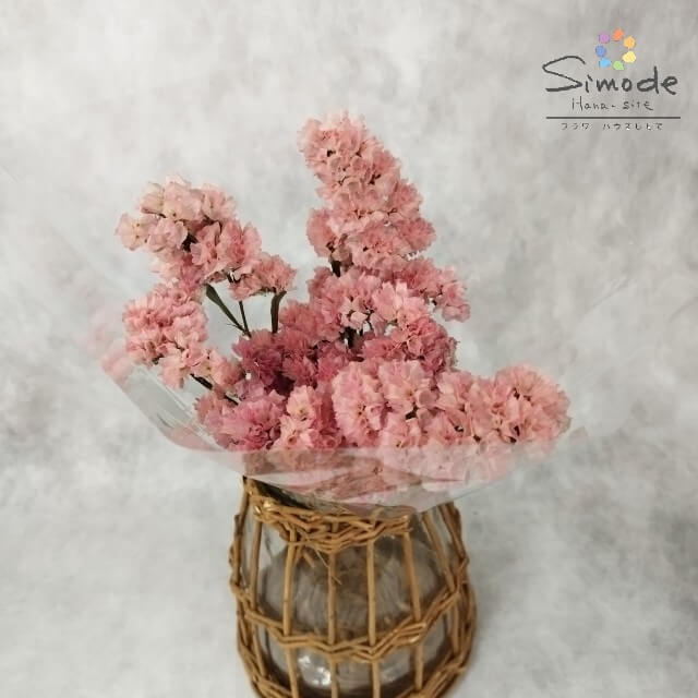 ハーバリウムに ドライフラワー スターチス サーモンピンク ハーバリウムに ドライフラワー スターチス サーモンピンク