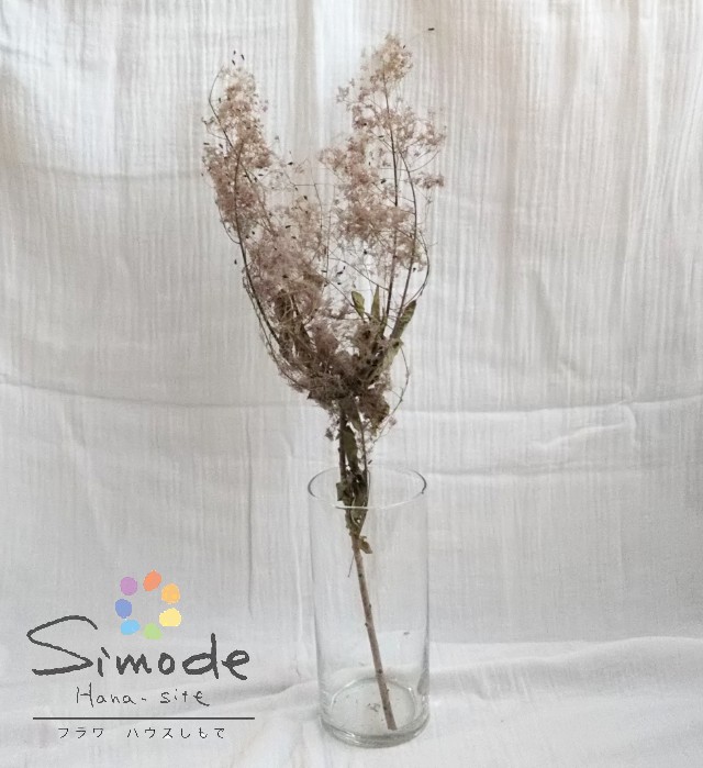 楽天市場 ドライフラワー 素材 スモークツリー 赤 1本ナチュラル インテリア 手作り 材料 ガーランド サシェ ワックス ブーケ レジン アクセサリー 雑貨 インテリア ハンドメイド Diy クラフト フラワーハウスしもで