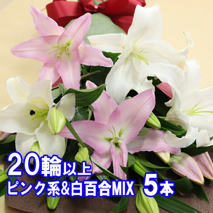 楽天市場】◇オリエンタルリリー【ピンク5本】ゆり 花束
