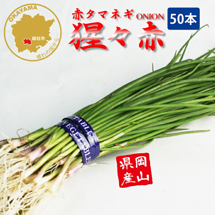 楽天市場】タマネギ O・K黄 中生 野菜苗 100本 岡山県産 たまねぎ苗