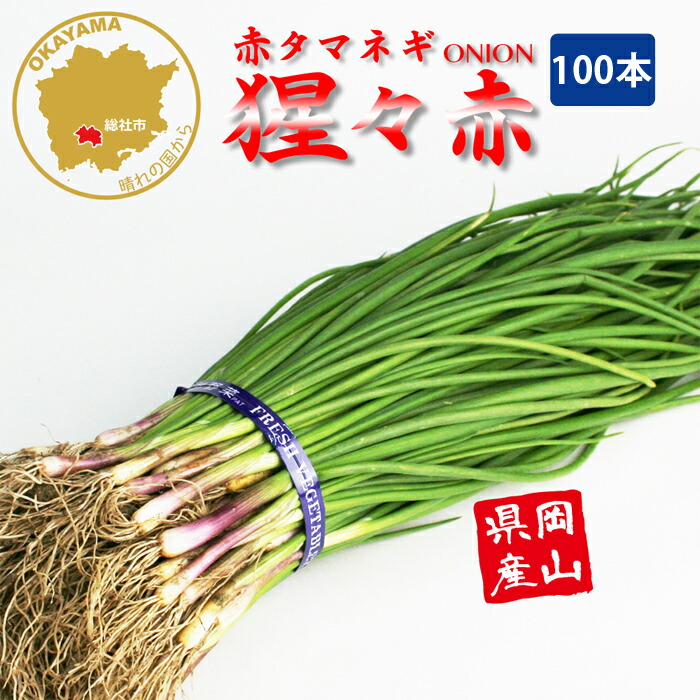 楽天市場】タマネギ ソニック 早生 野菜苗 50本 岡山県産 たまねぎ苗