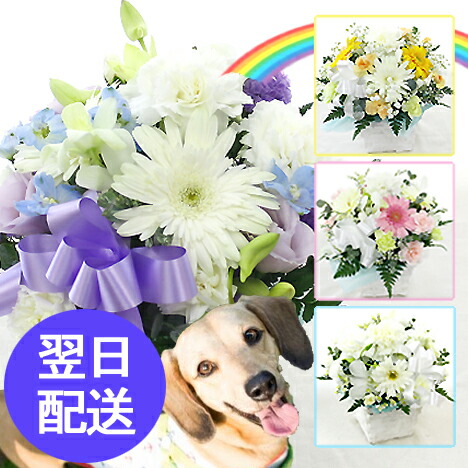 楽天市場 花 クール便セット有 ペットへ贈るお供えアレンジ ペット専用 ペットロス 癒しのアレンジメント ペット供養 ペットのお供え ペットお供え ペット お供え 花 供花 お悔やみ お供え 命日 即日 洋風 あす楽 送料無料 Petit フラワーファーム 花 ギフト