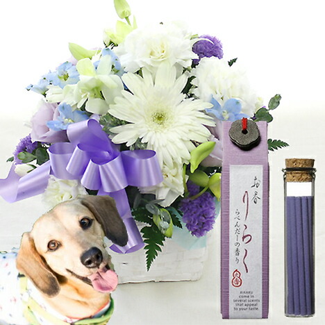 楽天市場 お花とお線香セット クール便セット有 あす楽15時まで ペットへ贈るお供えアレンジ ペット専用 ペットロス 癒しのアレンジメント ペット供養 ペットのお供え ペットお供え 供花 お悔やみ お供え 命日 即日 洋風 送料無料 Petit フラワーファーム