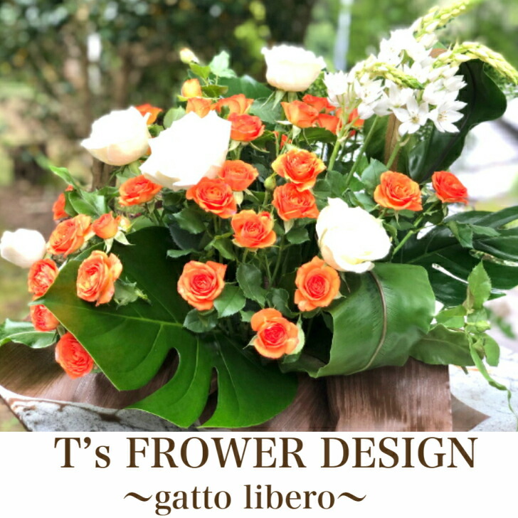 アレンジフラワー ピンク系 黄色系 赤系 白系 オレンジ系 フラワーアレンジメント アレンジメントフラワー セット 鉢 プランター 花 ギフト プレゼント 季節の花 誕生日 記念日 お祝い インテリア かわいい おしゃれ Giosenglish Com