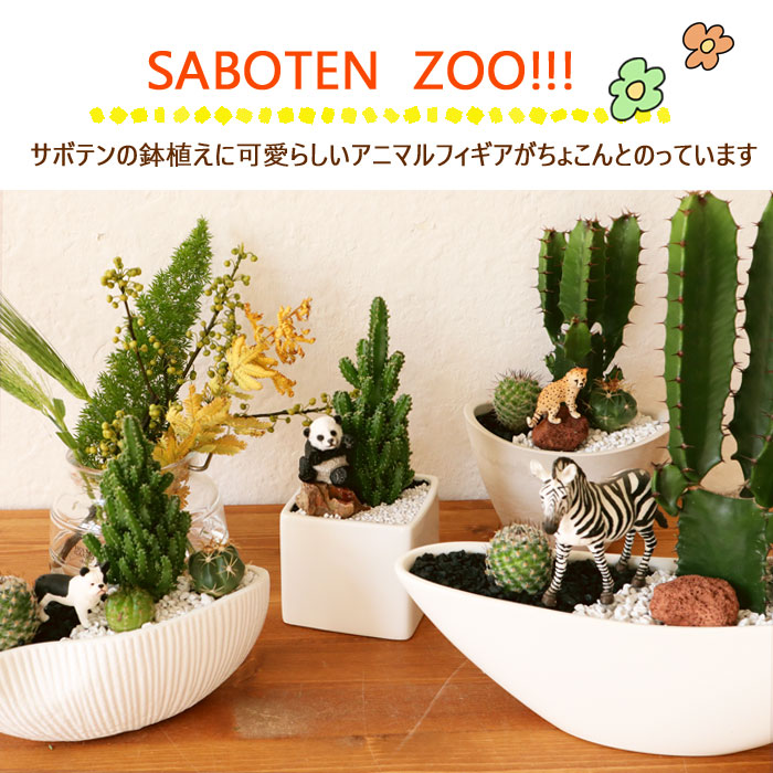 あす楽 Saboten Zooシリーズ ダイウンカク チーターフィギアつき 観葉植物 サボテン ユーフォルビア 育てやすい テーブルサイズ御祝 開店祝 開業祝 新築祝 動物 フィギア 新生活 インテリア ギフト 送料無料 Fktk Letempsleve Com
