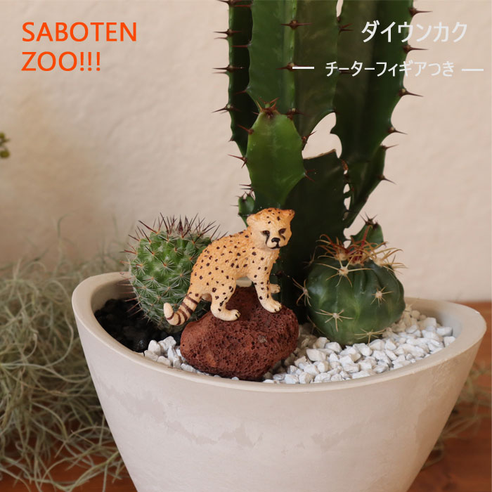 あす楽 Saboten Zooシリーズ ダイウンカク チーターフィギアつき 観葉植物 サボテン ユーフォルビア 育てやすい テーブルサイズ御祝 開店祝 開業祝 新築祝 動物 フィギア 新生活 インテリア ギフト 送料無料 Fktk Letempsleve Com