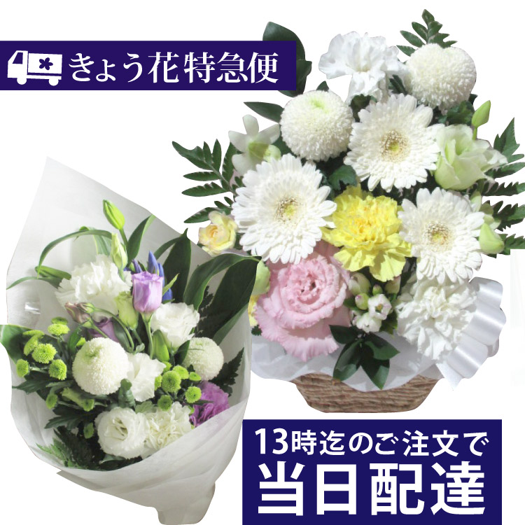 楽天市場 送料無料 お供えきょう花特急便13時迄の注文で本日お届け お急ぎ便 当日お届け 生花 全国ネットワーク イーフローラ でお届け 喪中 お供え お悔やみ 葬儀 法事 仏事 命日 今日 即日 ペットのお供え 枕花 アレンジ 花束 フラワー ギフト