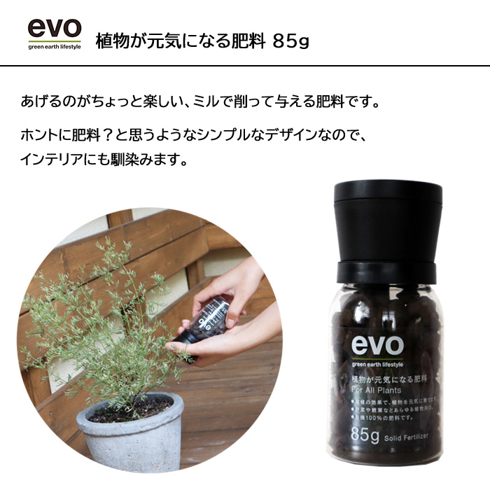 観葉 草木と肥料の揃 パキラ 7号数丼 Evo 植物が意気に造りだす肥料 85g パキラ Evo 観葉植物 有機一元化肥料 肥料 栄養剤 引出で物 Fkts Doorswindowsstairs Co Uk