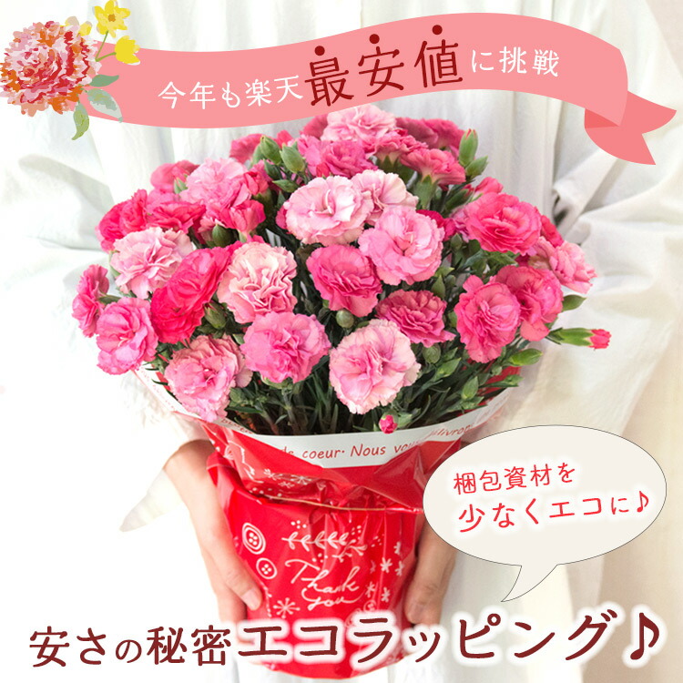即日出荷】遅れてごめんね！ 母の日 カーネーション プレゼント 花