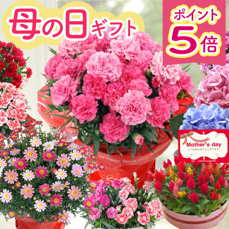 楽天市場】【最短☆翌日配達 昼12時〆】 還暦祝い バラ60本 花束 楽天市場】【最短☆翌日配達 昼12時〆】 還暦祝い バラ60本 花束