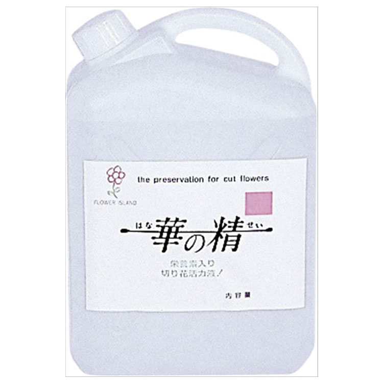 百貨店SALE執り行なう中！