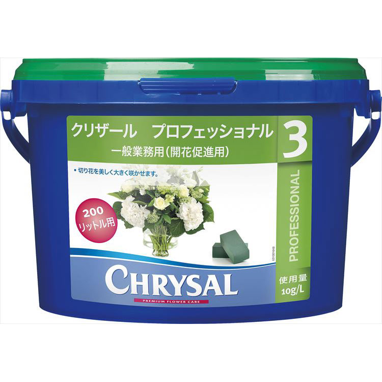 百貨店SALE執り行なう中！