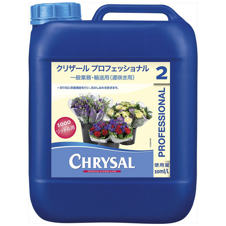 百貨店SALE執り行なう中！