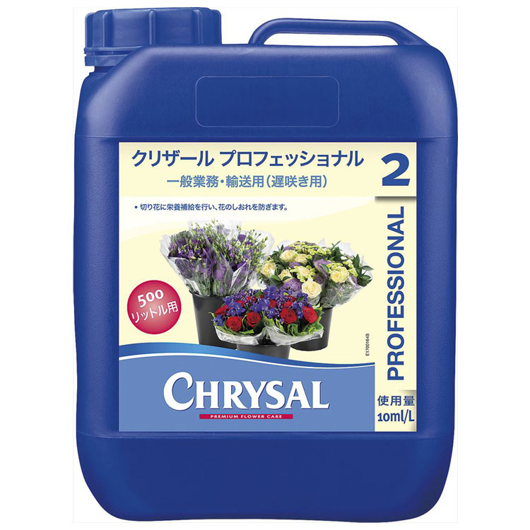 百貨店SALE執り行なう中！