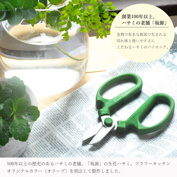 楽天市場 限定色オリーブ色 坂源 Olive 花はさみ Flower Kitchenオリジナルカラーオリーブ 送料無料 ネコポスまたはゆうパケット 坂源 ハンドクリエーション F170 170mm F 170 花切り 刃先ケース付 花鋏 グッドデザイン賞 オリーブ Fkrsl Flowerkitchenjiyugaoka